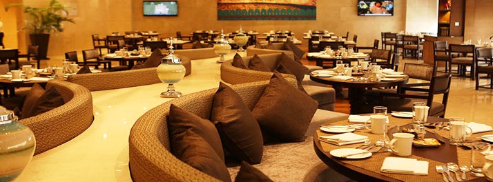 1242/The Pride Plaza Hotel - New Delhi 11.jpg